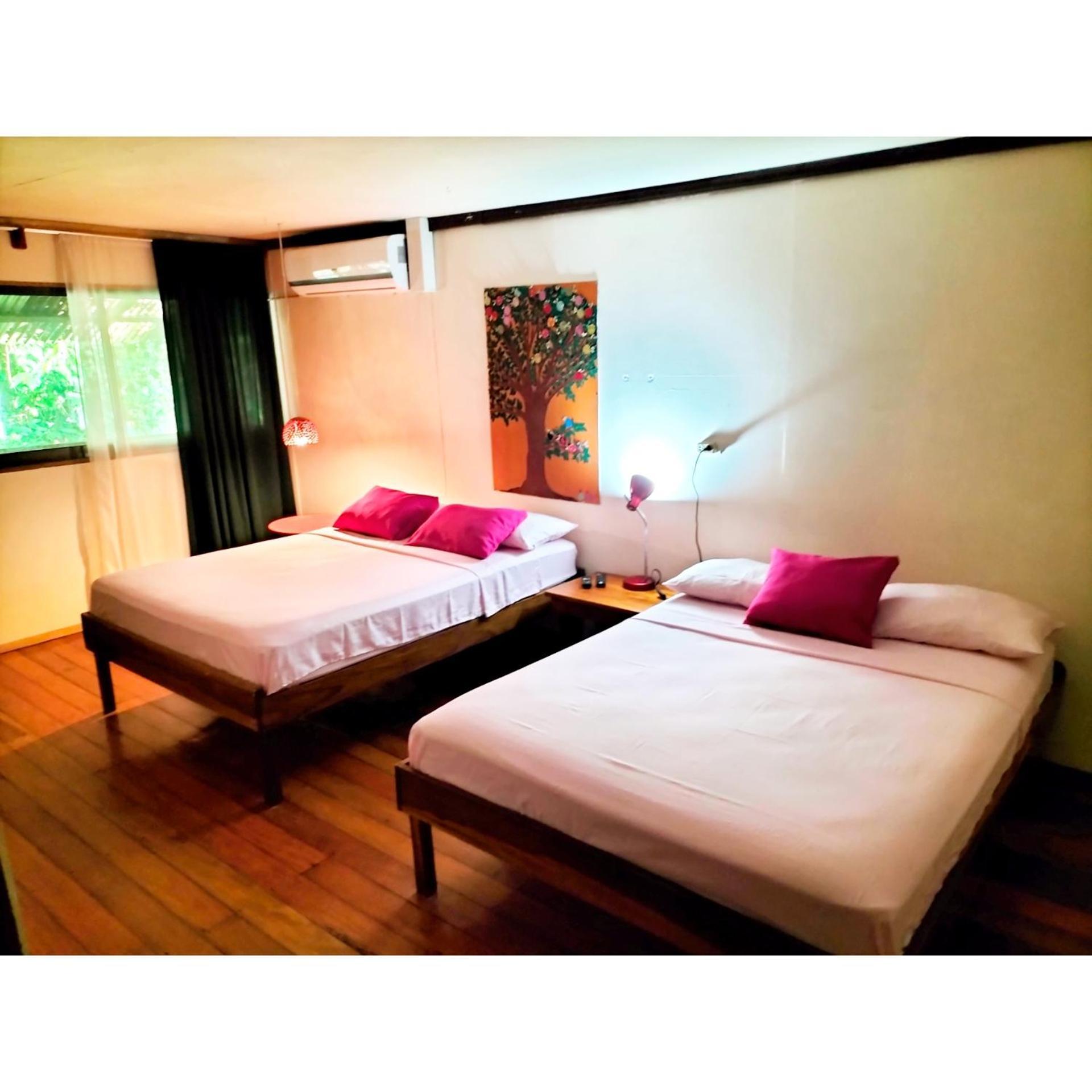 Cabinas Coconut Grove Puerto Viejo de Talamanca Eksteriør bilde